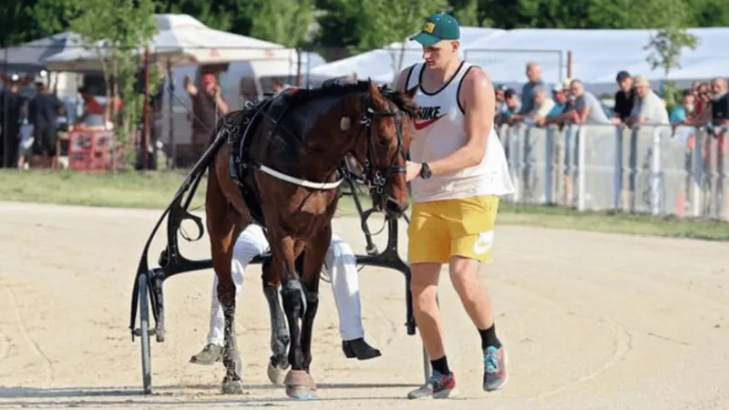 Shames：约基奇将在赛季结束后从NBA退役，转战马术赛场备战28年奥运会